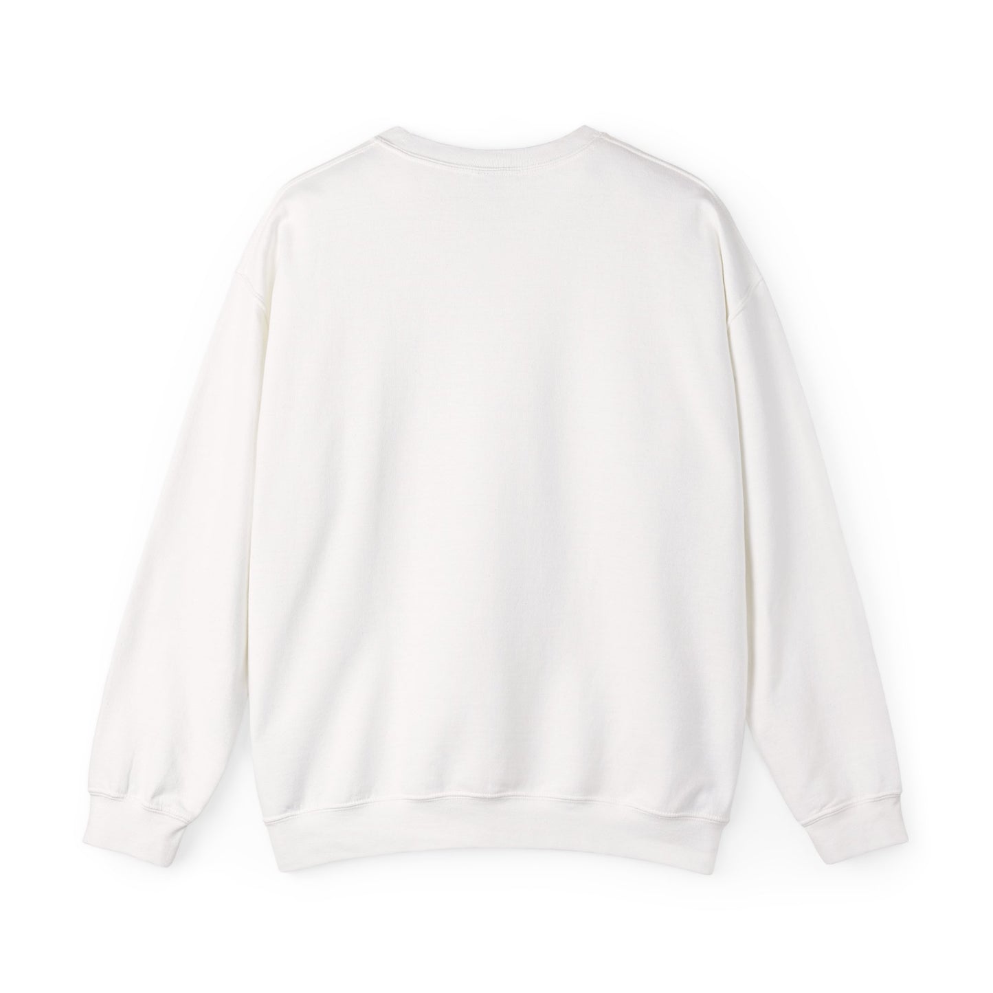 Cheer Flyer Sweatshirt and T-Shirt for Cheerleaders