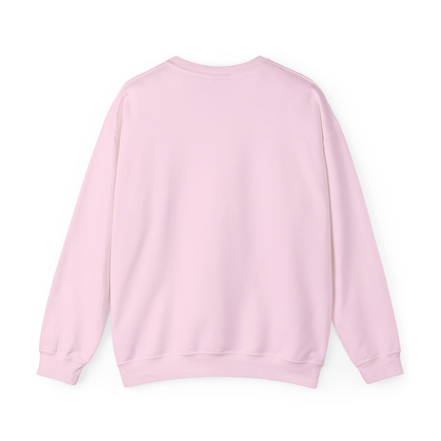 Cheer Flyer Sweatshirt and T-Shirt for Cheerleaders