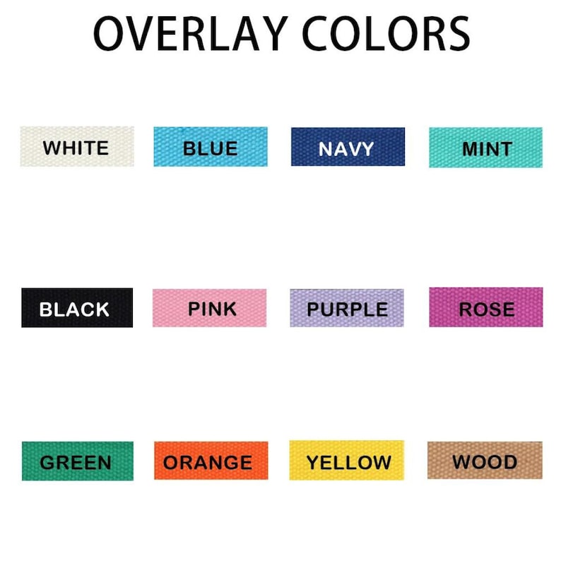 Personalized Name Adorned Horse Bridle