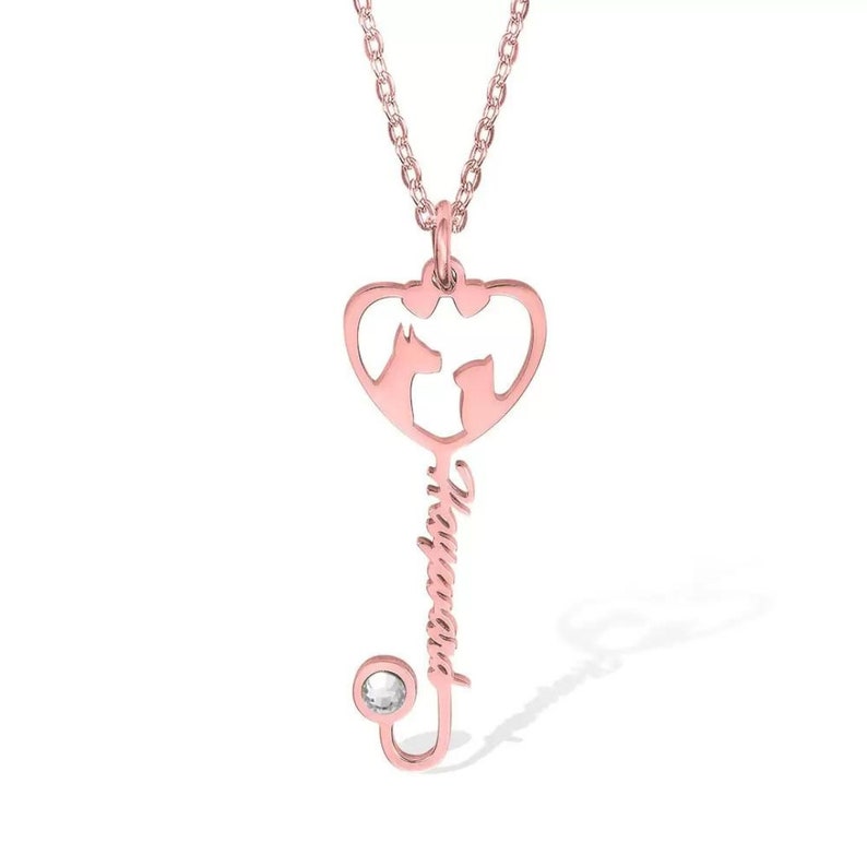 Veterinary Name Stethoscope Heart Necklace with Birthstone