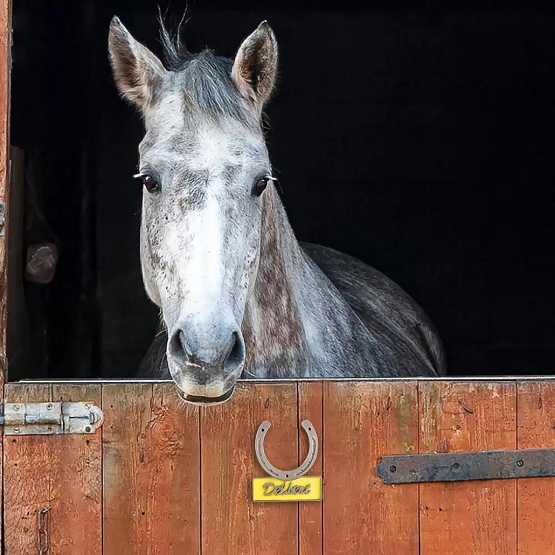 Custom Horse Show Plate with Horse Name