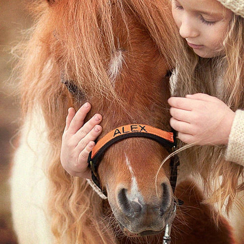 Personalized Name Adorned Horse Bridle