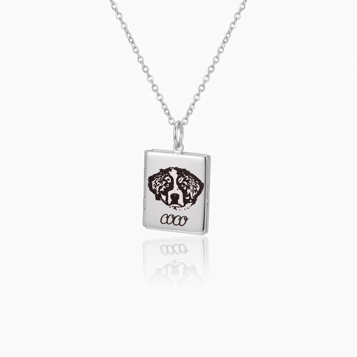pet portrait photo book locket