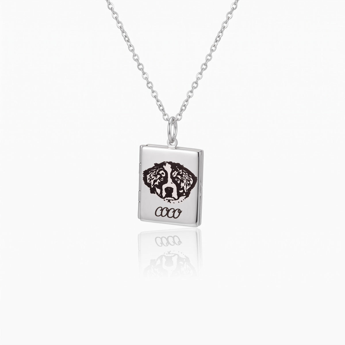 pet portrait photo book locket