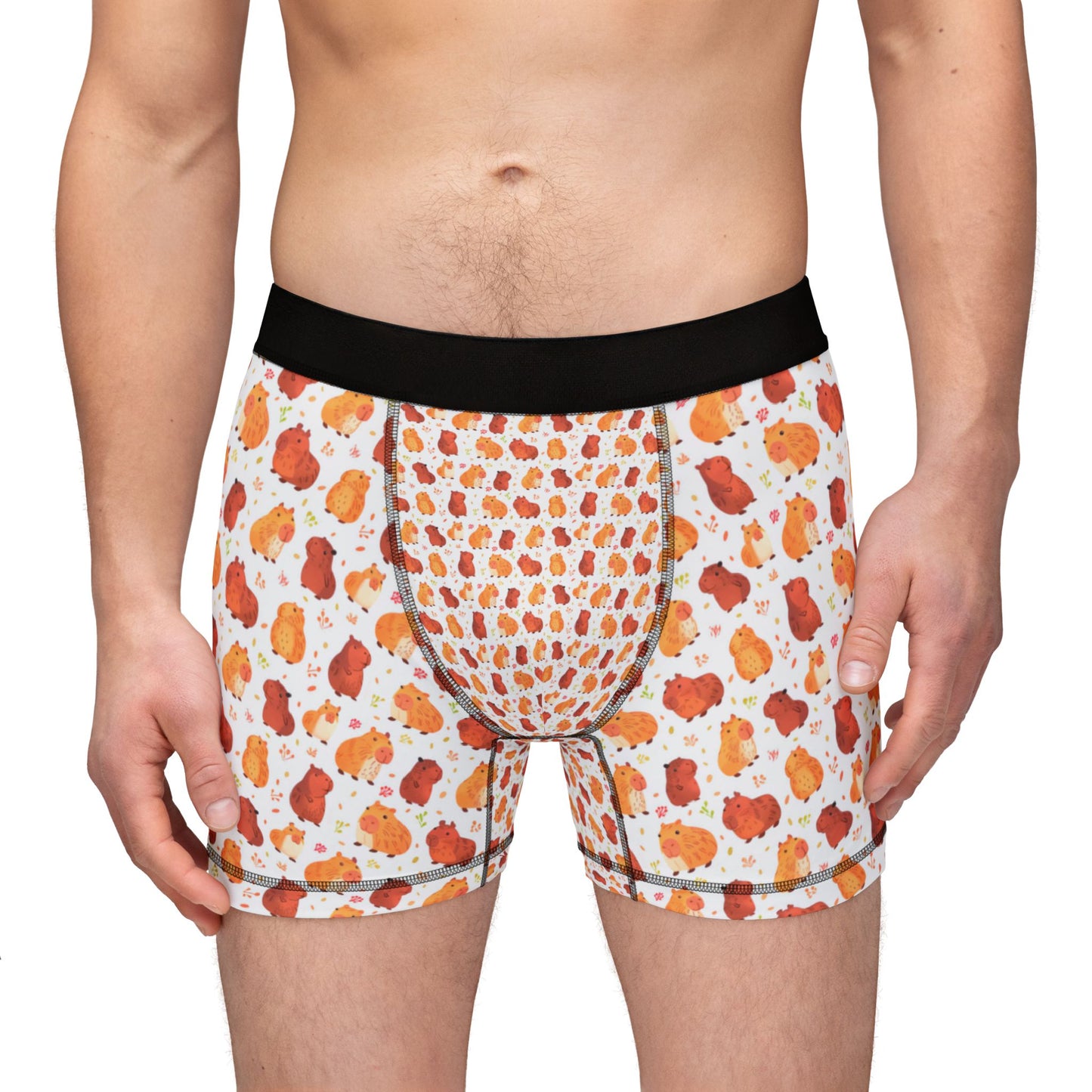 Capybara Chibi Style Men's Boxers Underwear