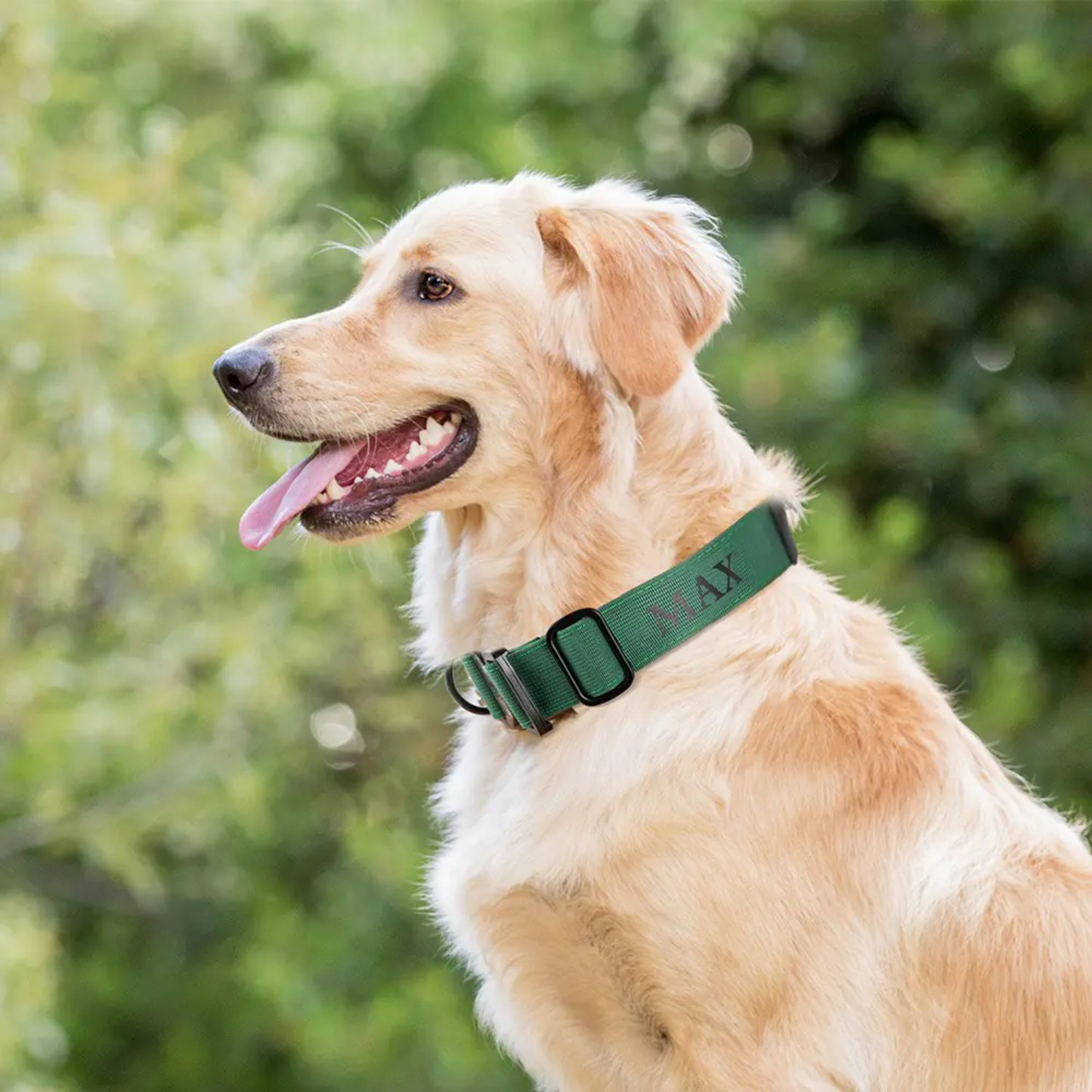 Personalized Dog Collar with AirTag Pocket