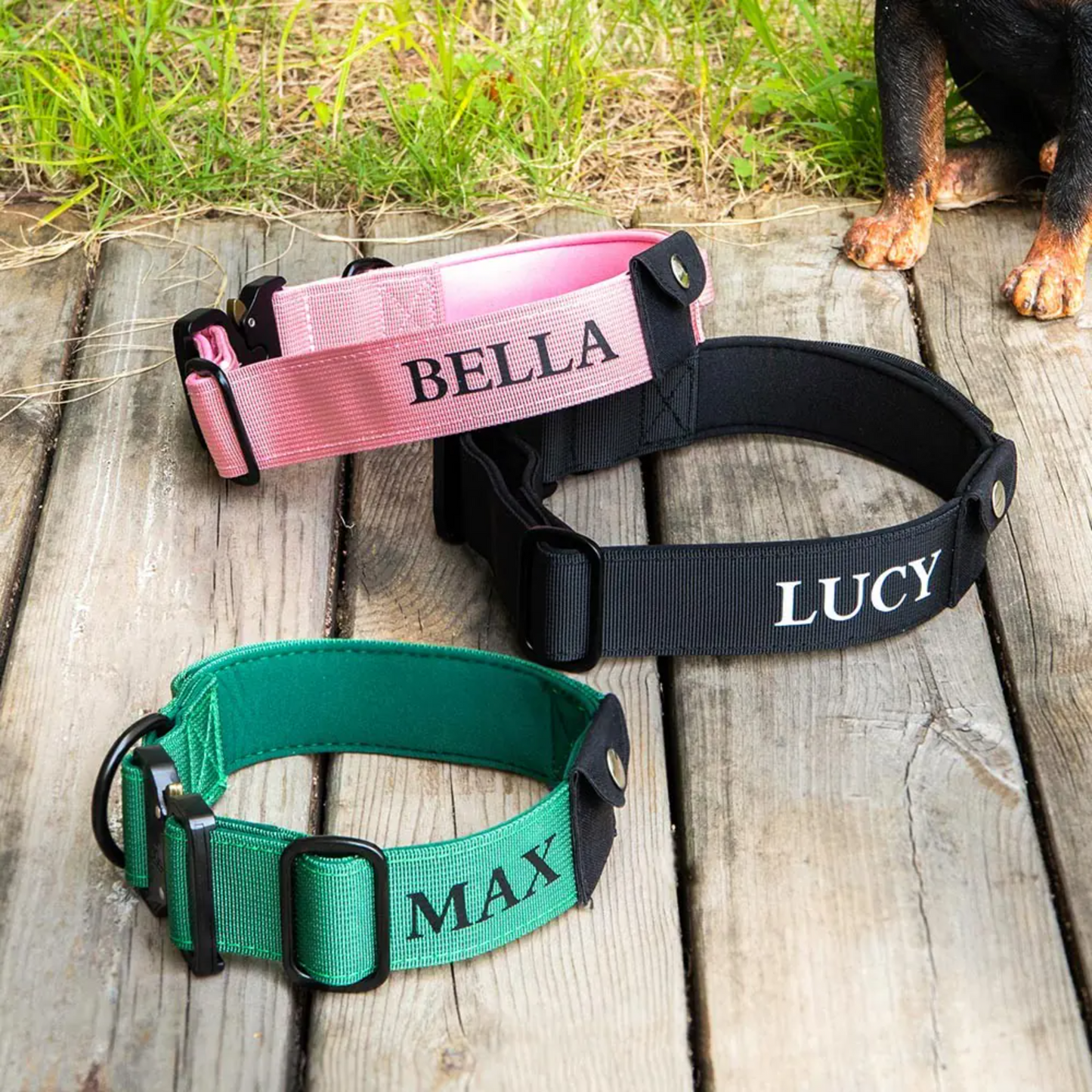 Personalized Dog Collar with AirTag Pocket