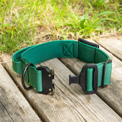 Personalized Dog Collar with AirTag Pocket