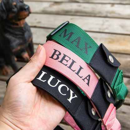 Personalized Dog Collar with AirTag Pocket