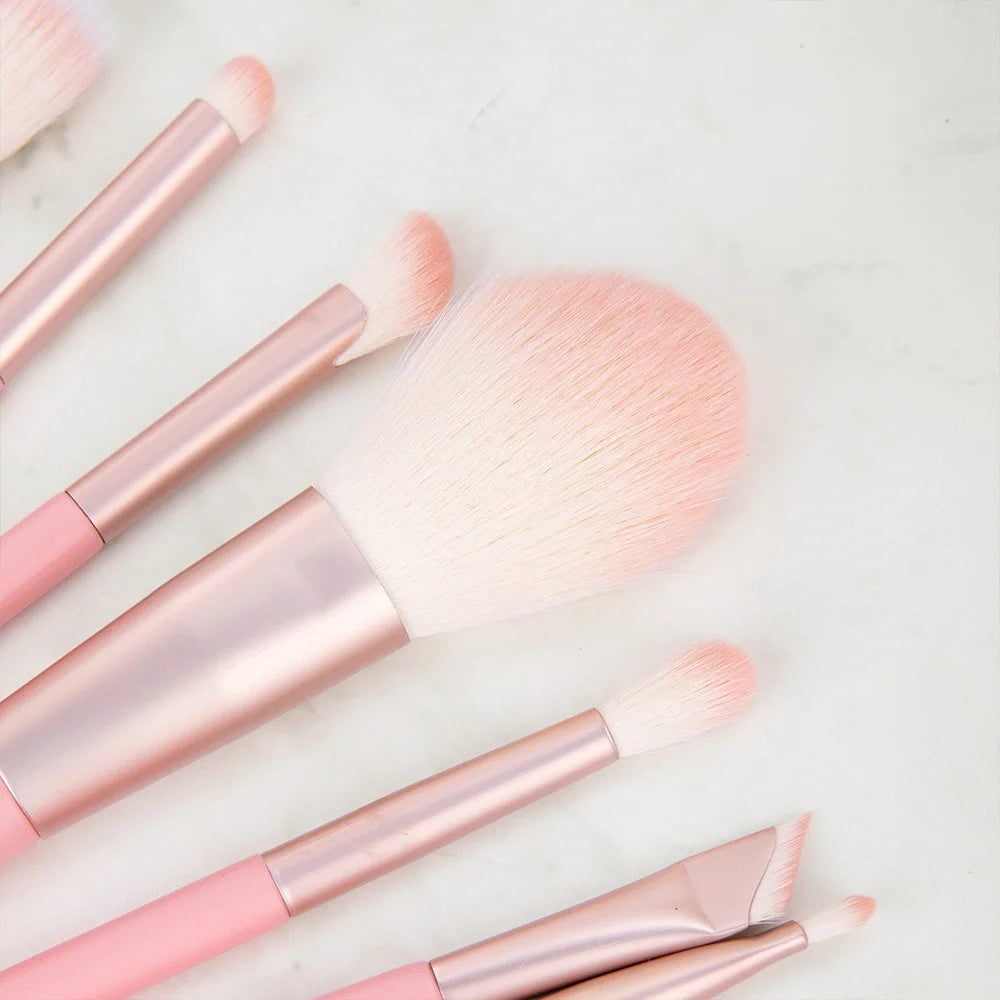 Custom Makeup Bag with 10 Pink Brushes