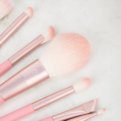Custom Makeup Bag with 10 Pink Brushes