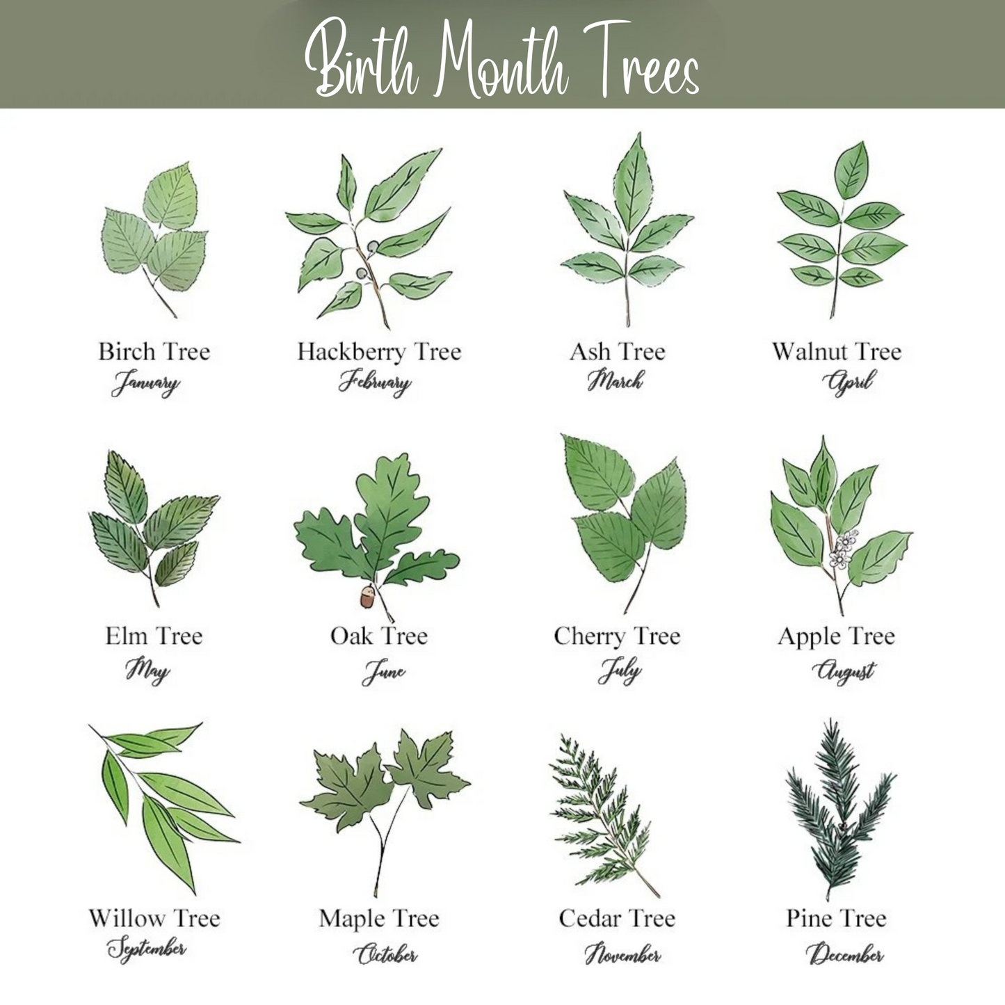 Custom Name Birth Flower & Tree Water Bottle Labels
