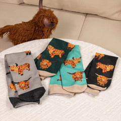 Socken vom Hochlandrind