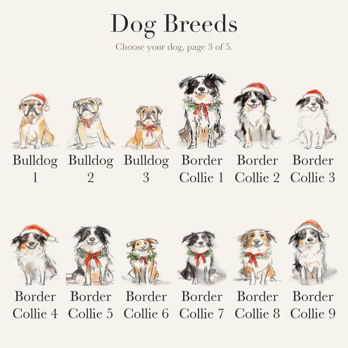 Dog breed chart