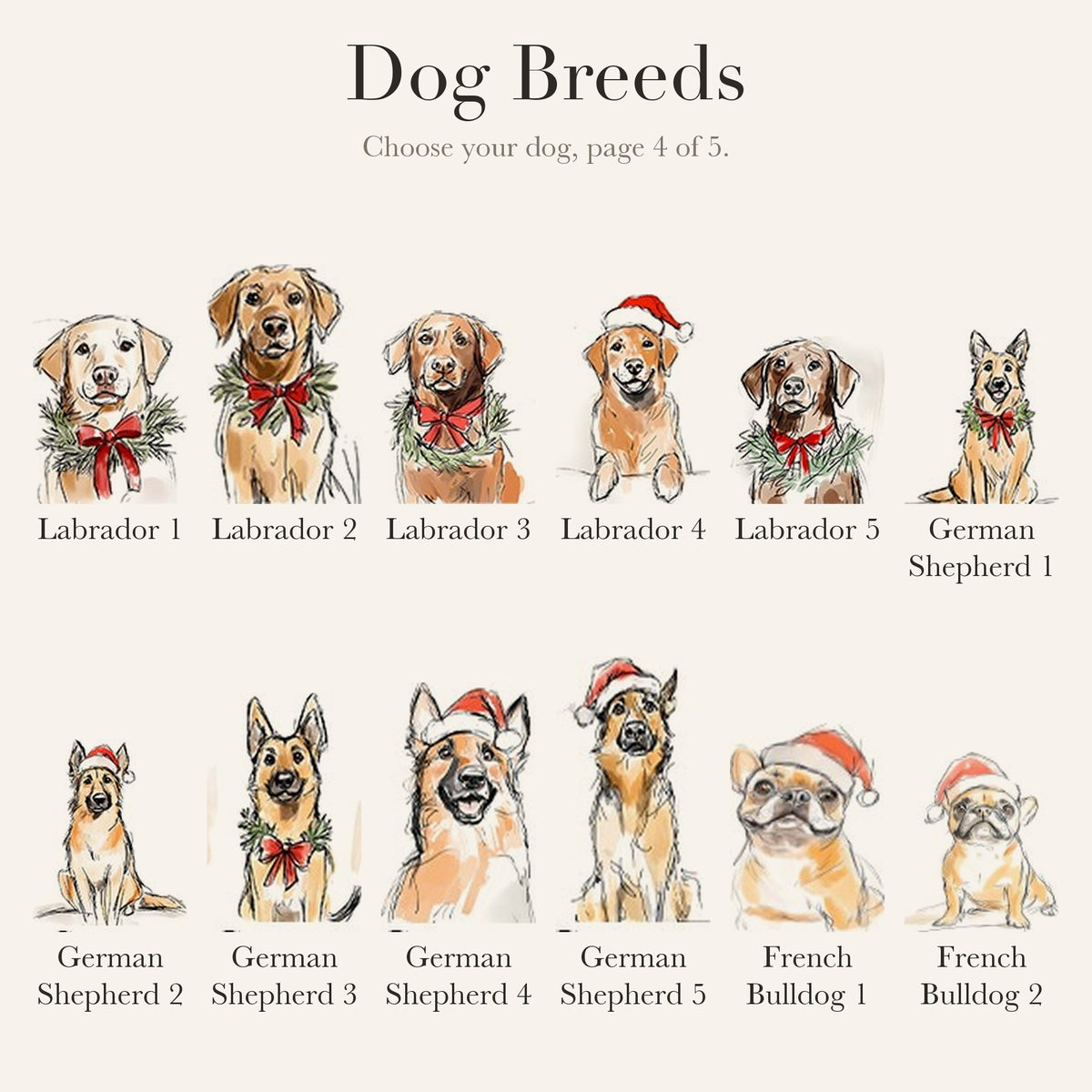 Dog breed chart