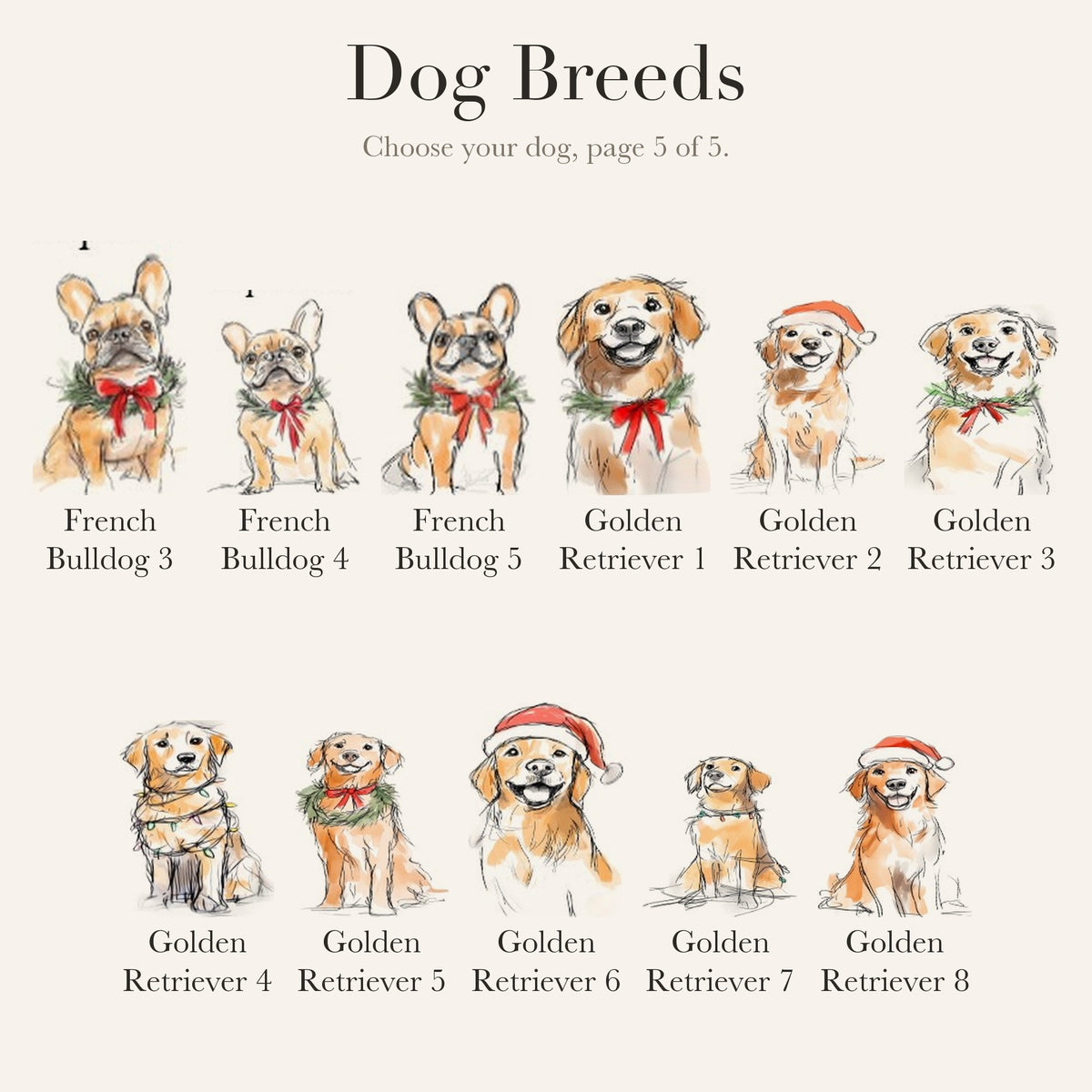 Dog breed chart