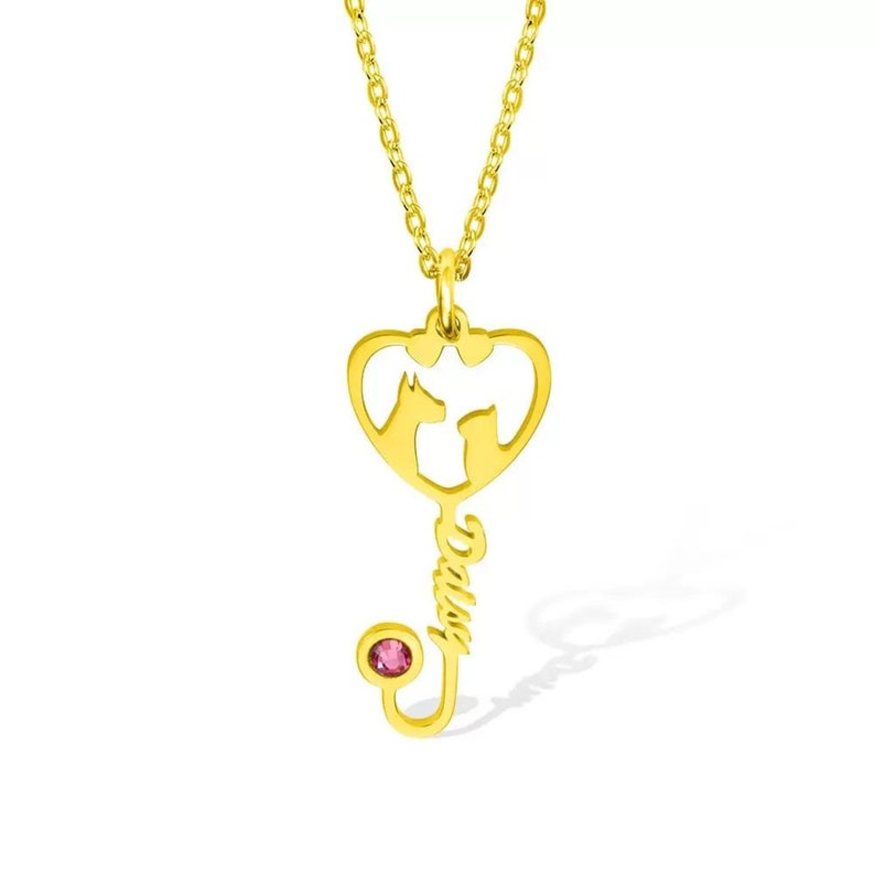 Veterinary Name Stethoscope Heart Necklace with Birthstone