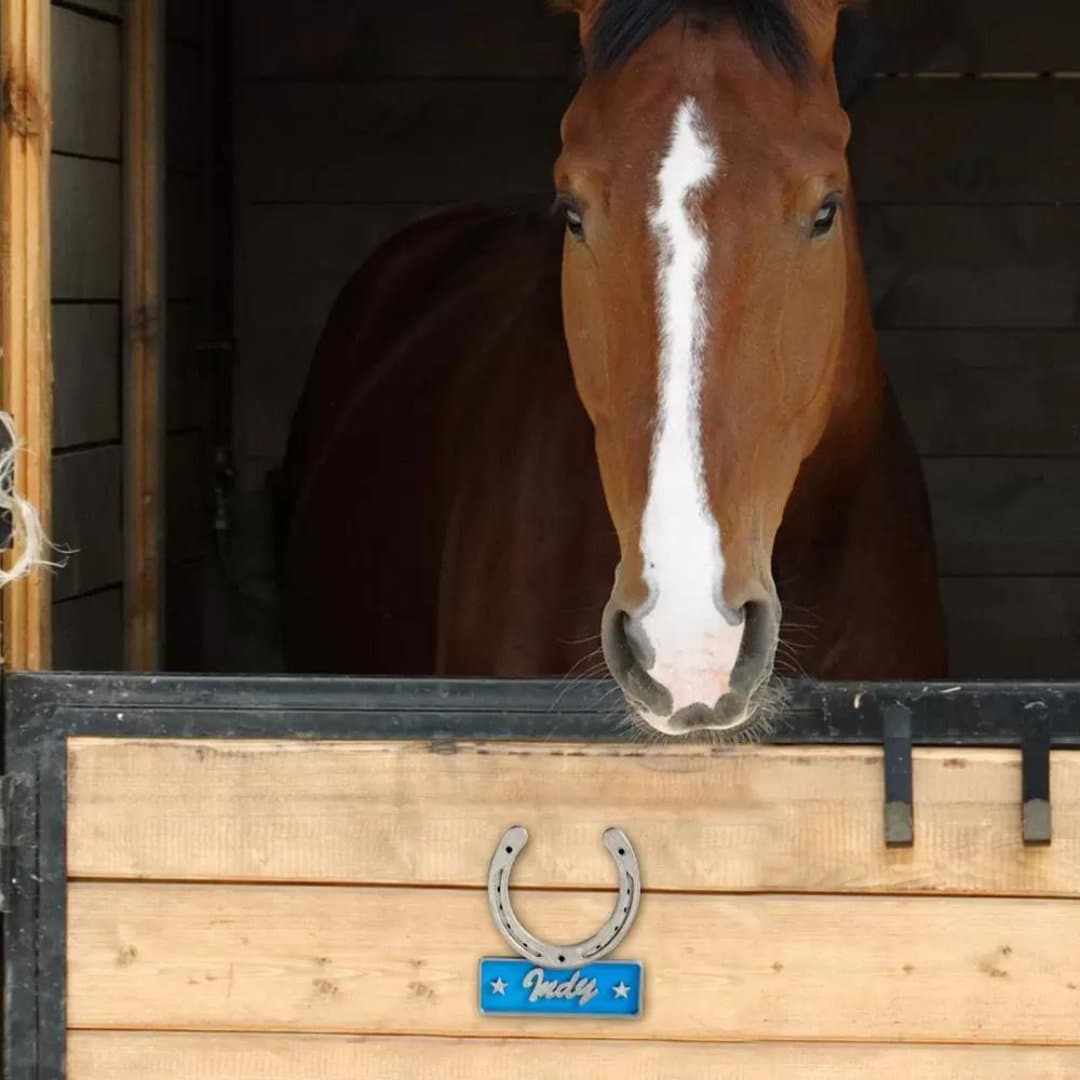 Custom Horse Show Plate with Horse Name