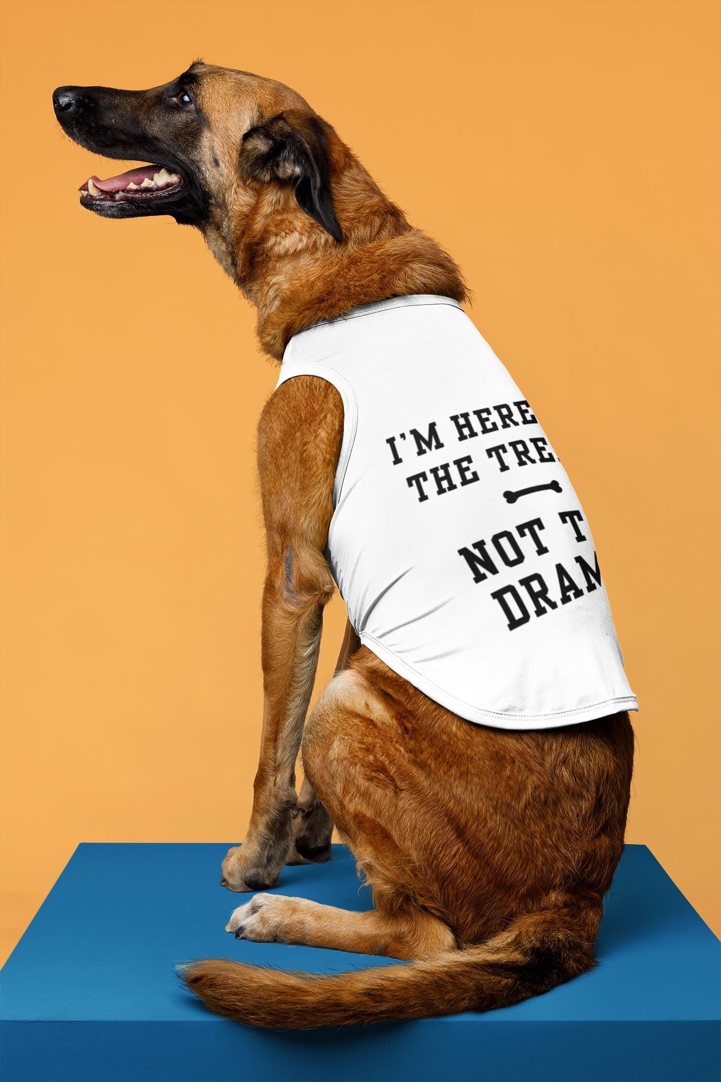 ¨I'm Here for the Treats not the Drama¨ Funny Dog T-Shirt