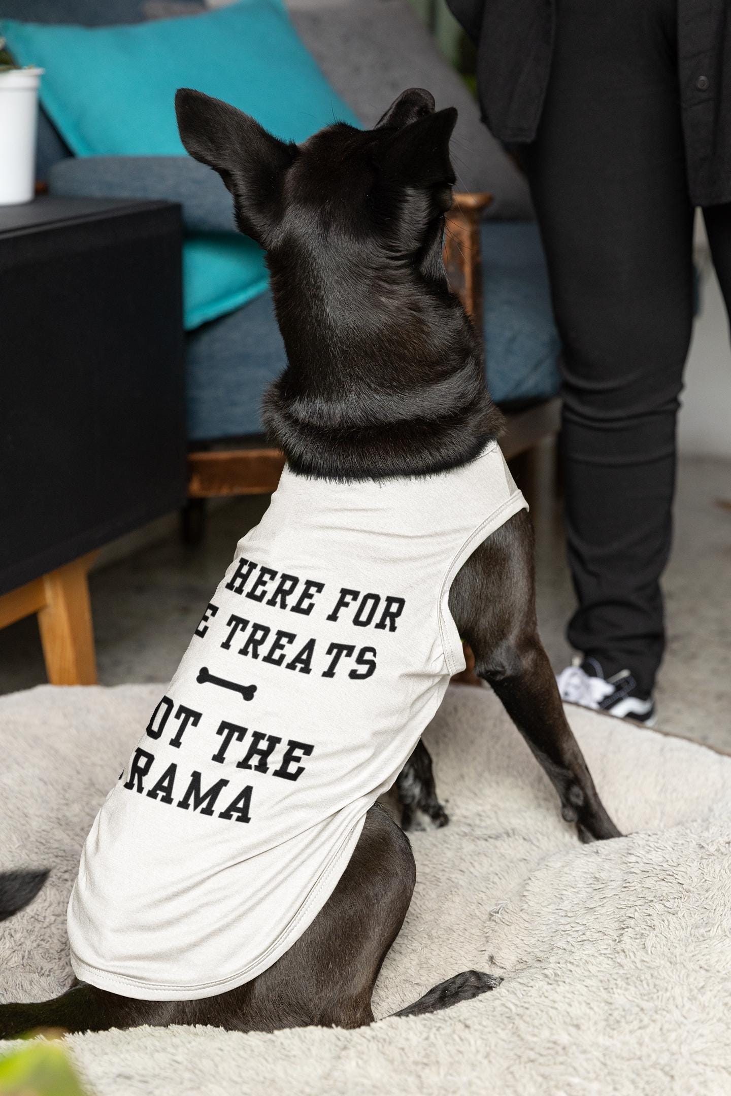 ¨I'm Here for the Treats not the Drama¨ Funny Dog T-Shirt