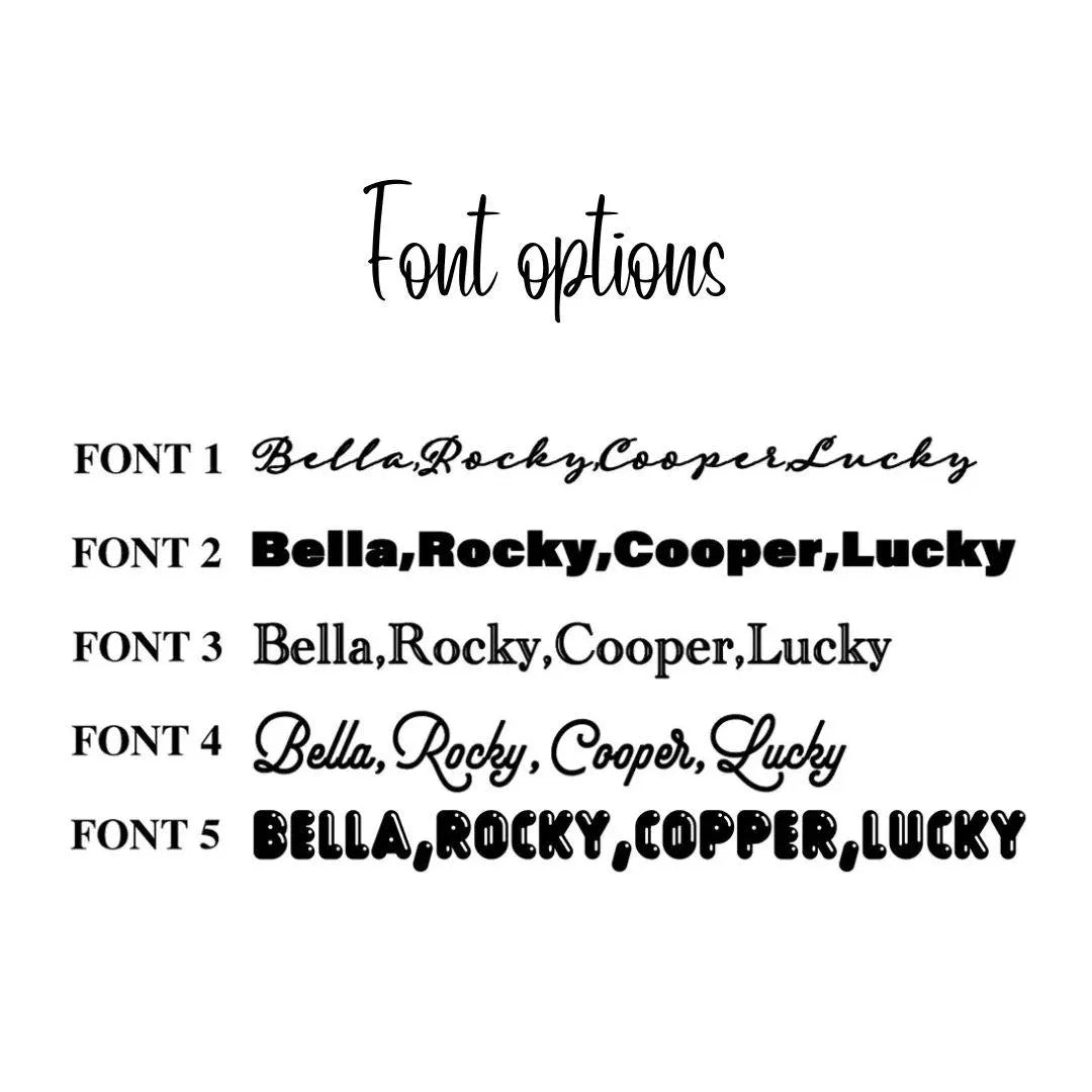 Personalized Stainless Steel Pet Bowl with Photo & Name