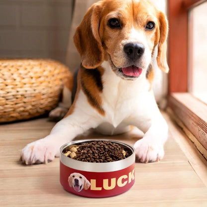 Personalized Stainless Steel Pet Bowl with Photo & Name