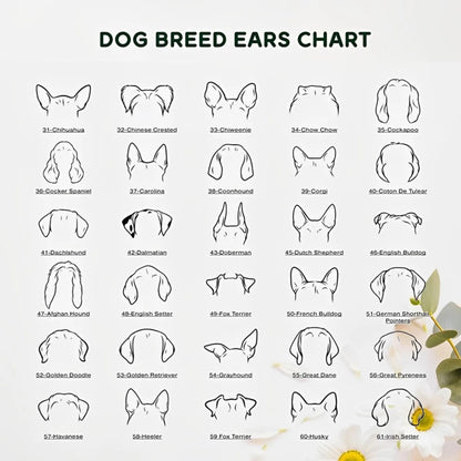 Personalized Dog Bowl with Ear Design & Name