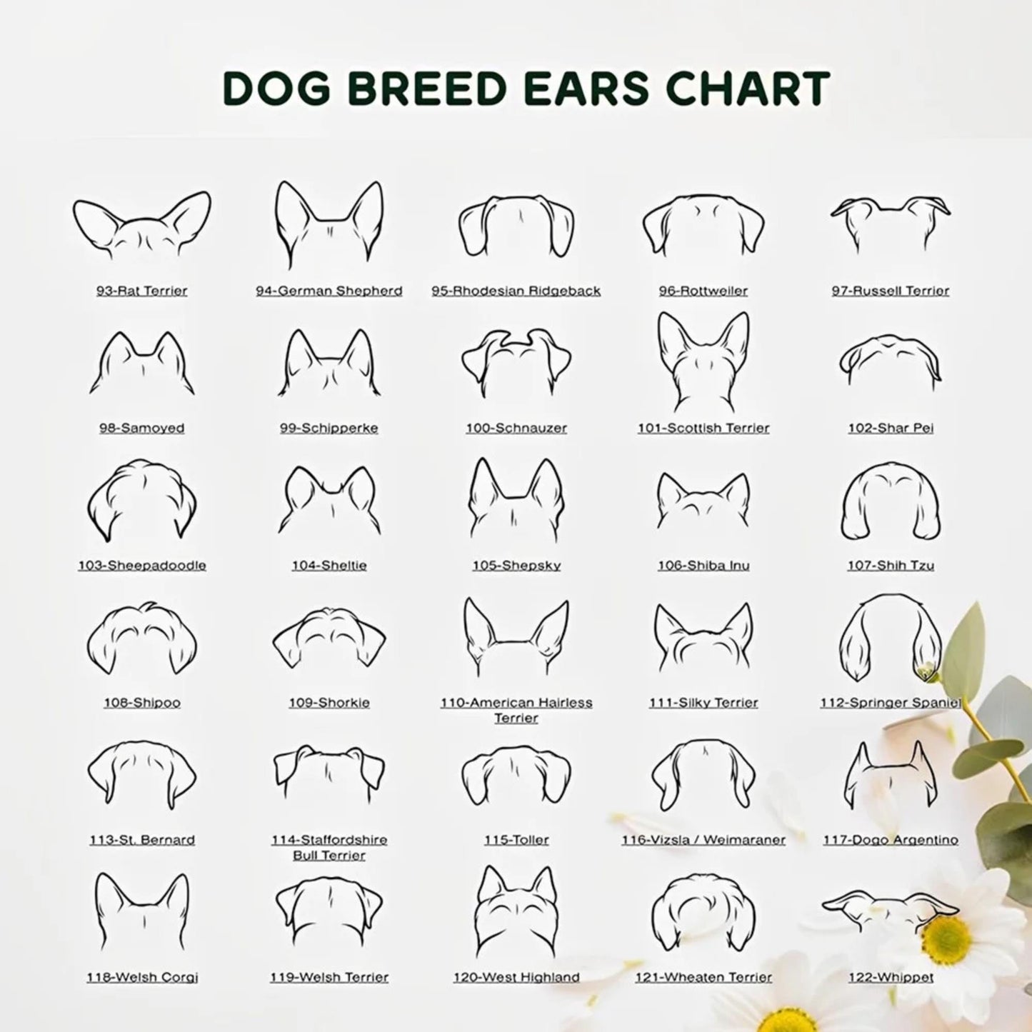 Personalized Dog Bowl with Ear Design & Name