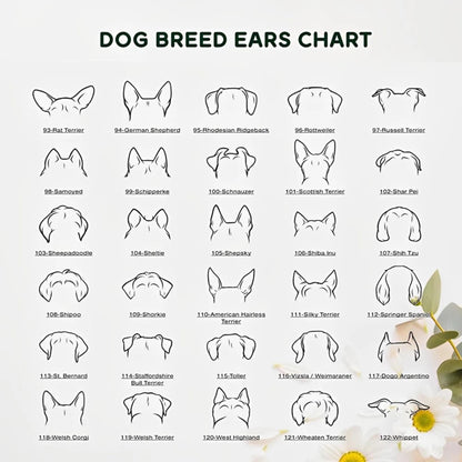 Personalized Dog Bowl with Ear Design & Name