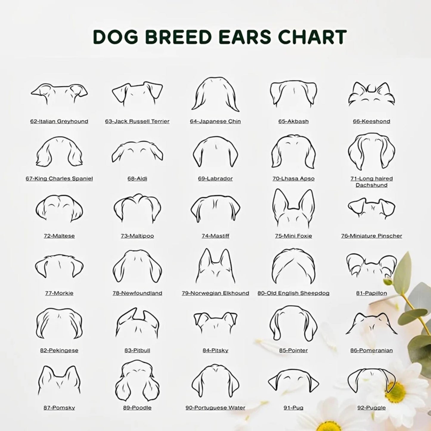 Personalized Dog Bowl with Ear Design & Name