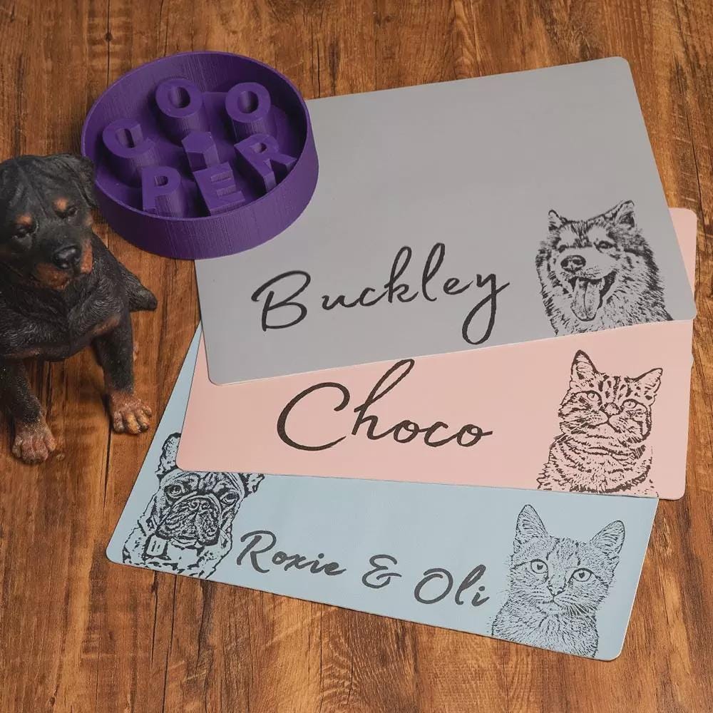 Custom Pet Portrait Food Mat with Name