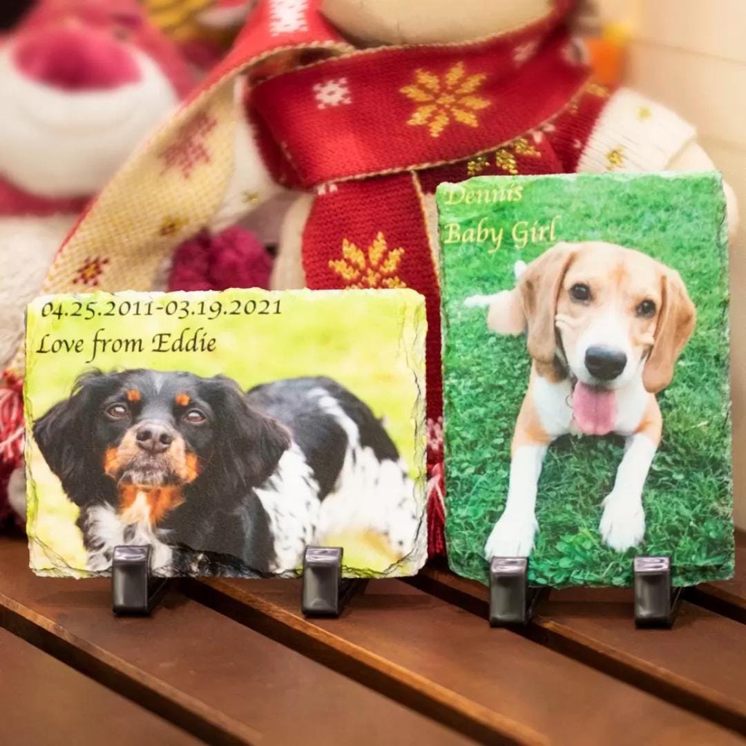 Custom Pet Photo Rock Slate