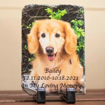 Custom Pet Photo Rock Slate