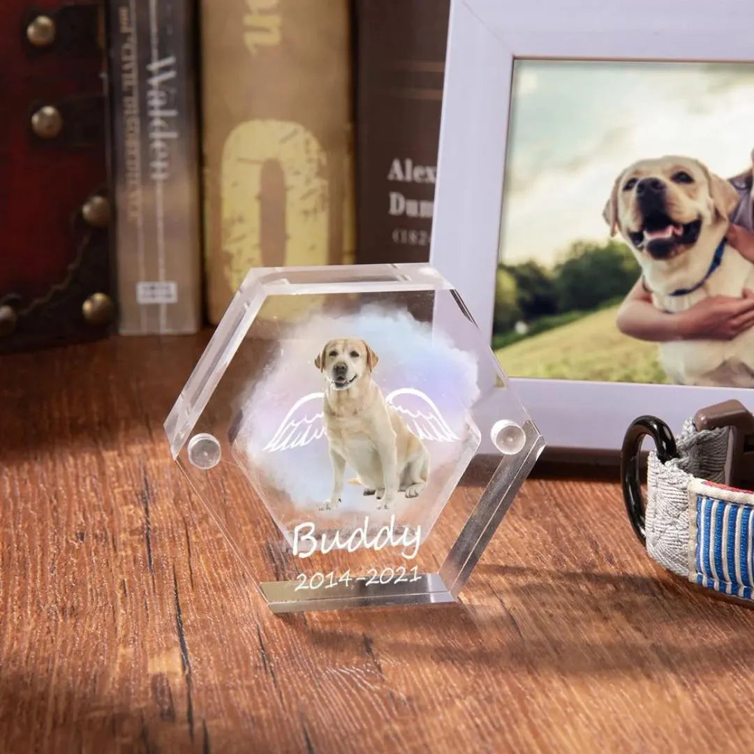 Pet Portrait Clear Fur Memorial Box