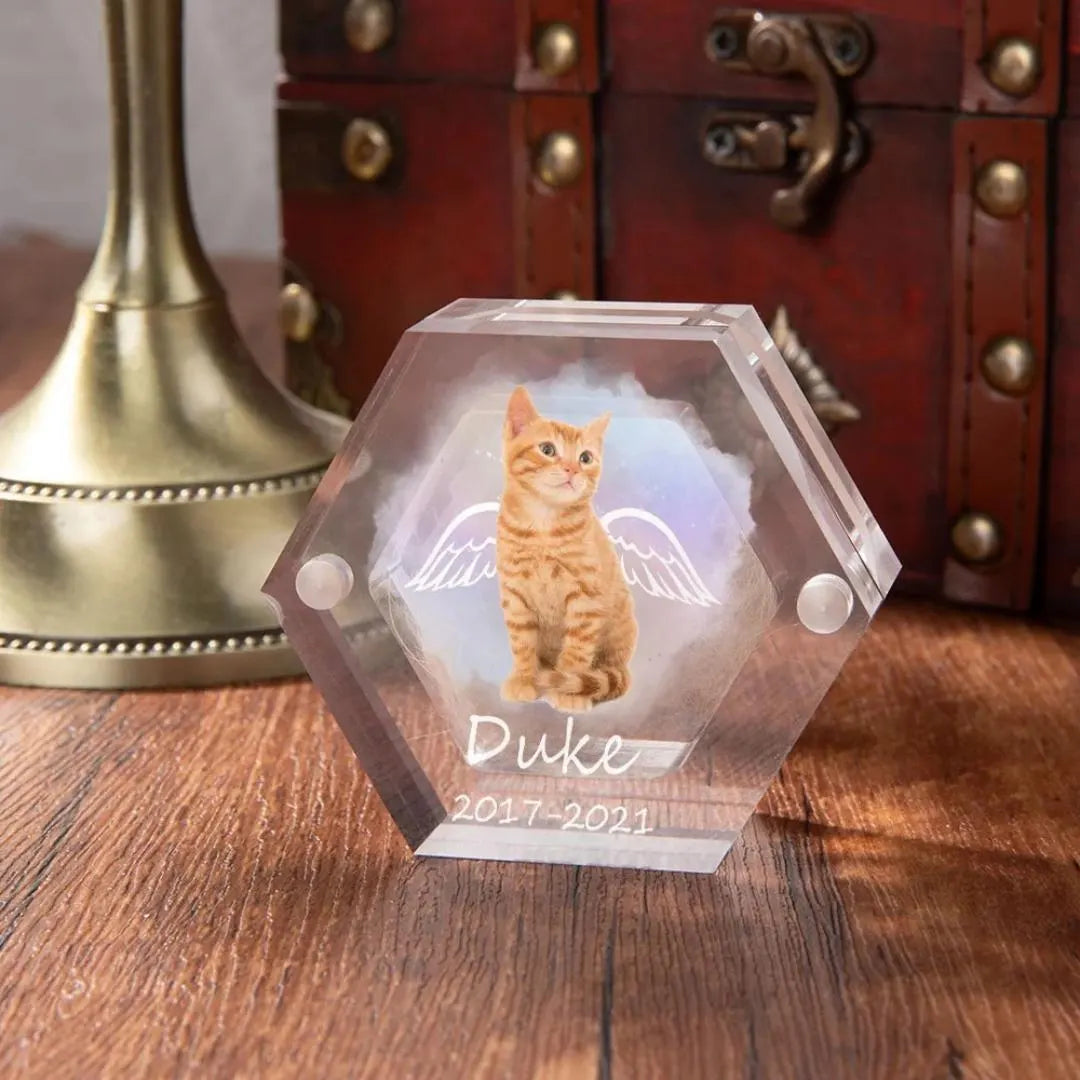 Pet Portrait Clear Fur Memorial Box