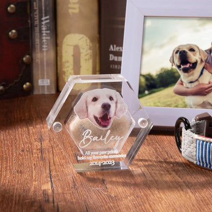 Pet Portrait Clear Fur Memorial Box