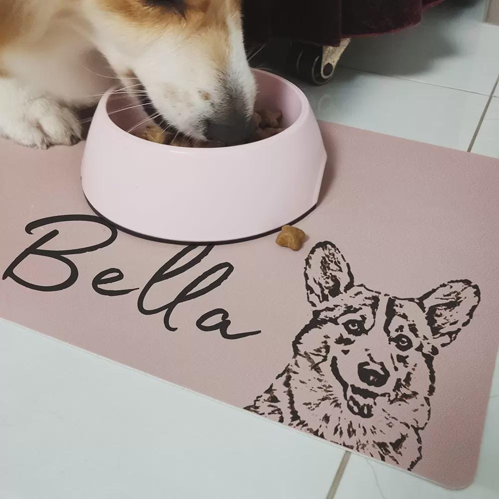 Custom Pet Portrait Food Mat with Name