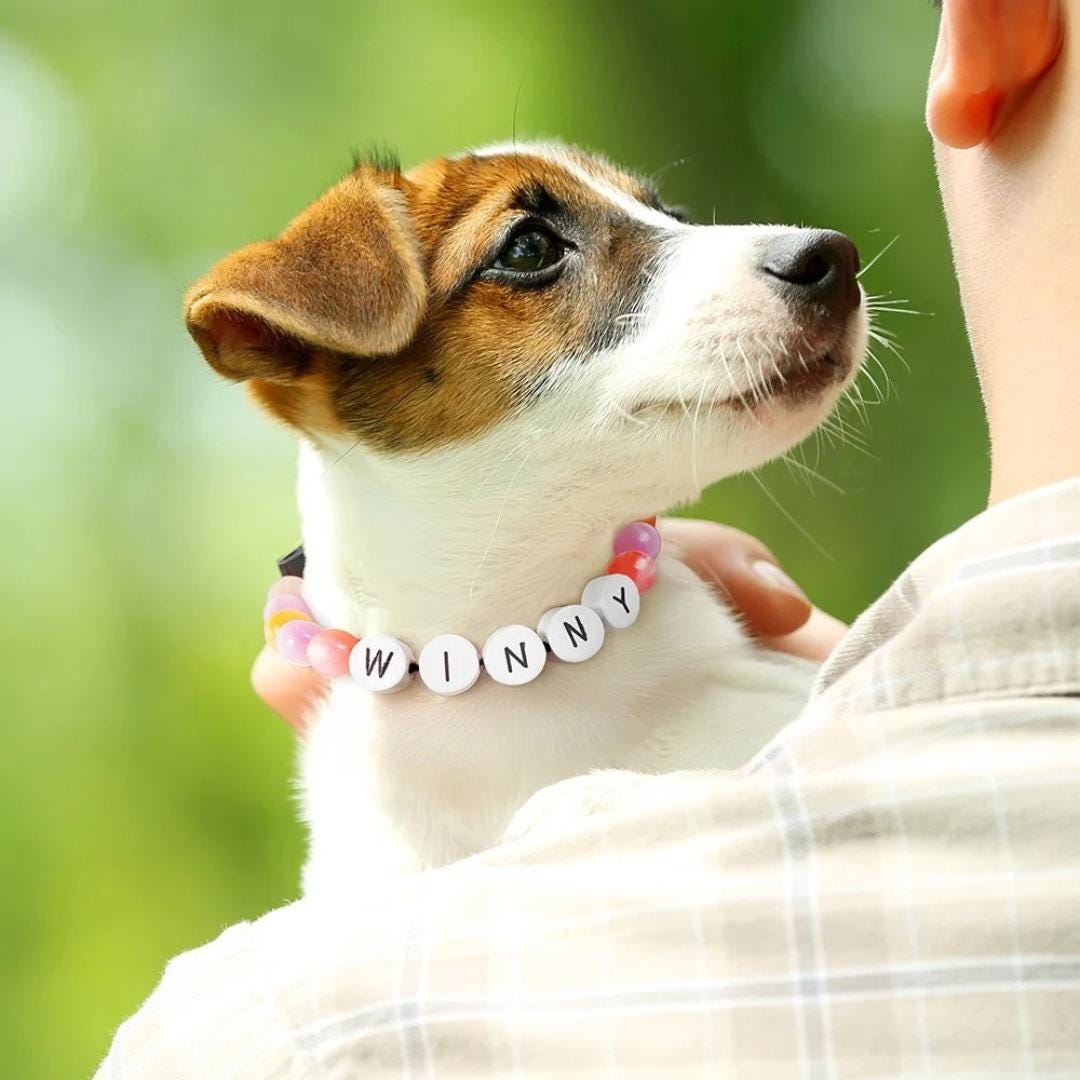 Individuell gestaltetes Halsband und Armband für Haustierbesitzer, passendes Freundschafts-Set aus Perlenhalsband und Armband für Haustier und Besitzer, Geschenkidee für Tierliebhaber