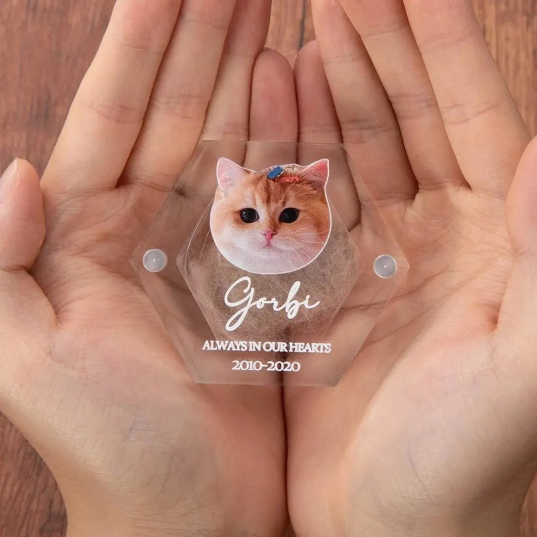 Pet Portrait Clear Fur Memorial Box