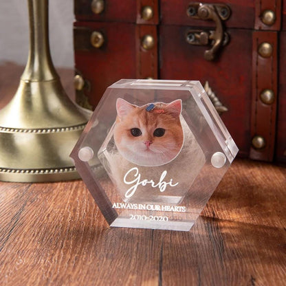 Pet Portrait Clear Fur Memorial Box