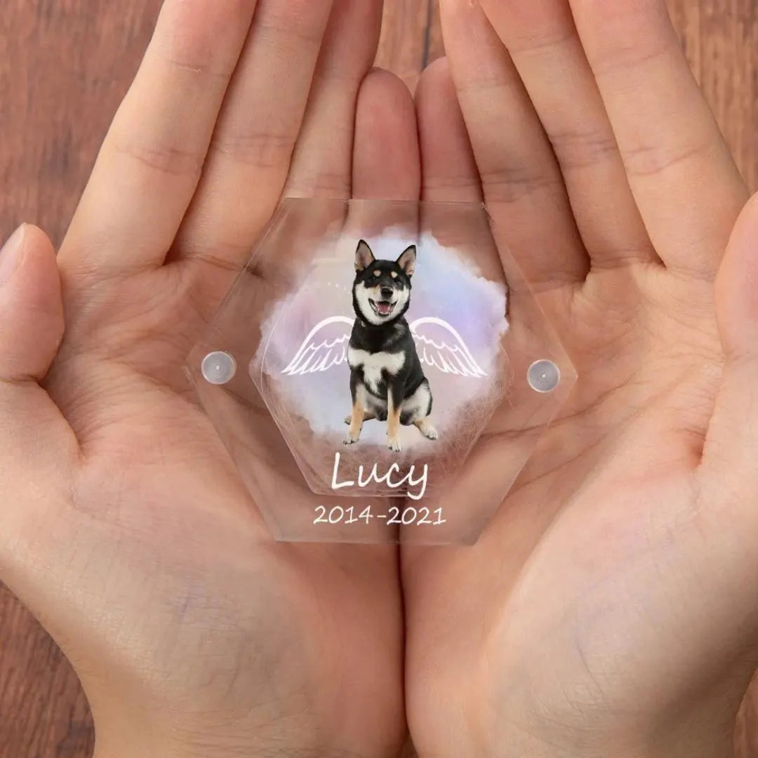 Pet Portrait Clear Fur Memorial Box