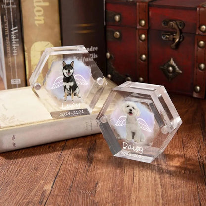 Pet Portrait Clear Fur Memorial Box