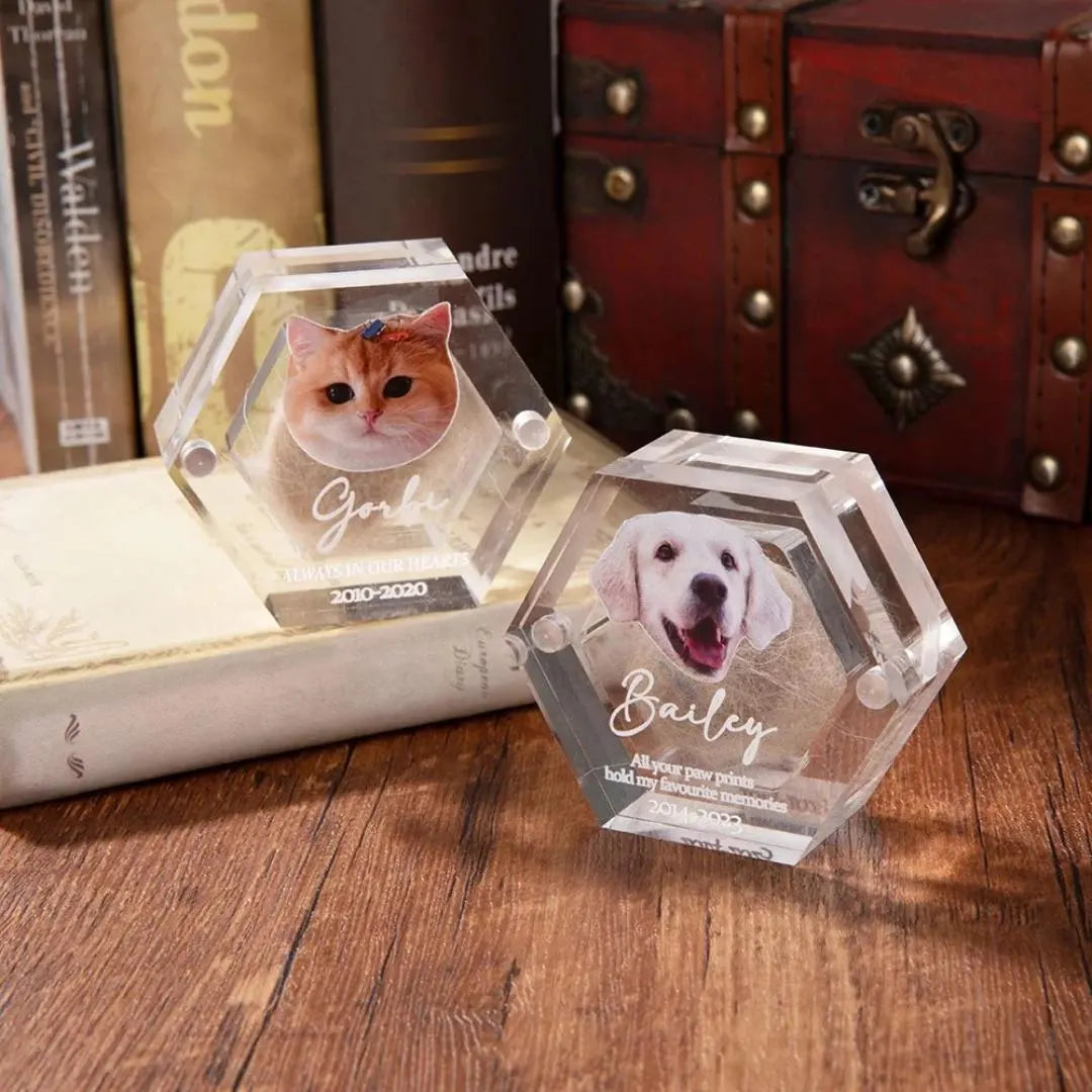 Pet Portrait Clear Fur Memorial Box