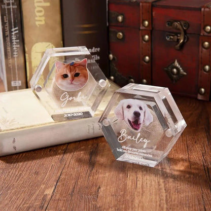 Pet Portrait Clear Fur Memorial Box