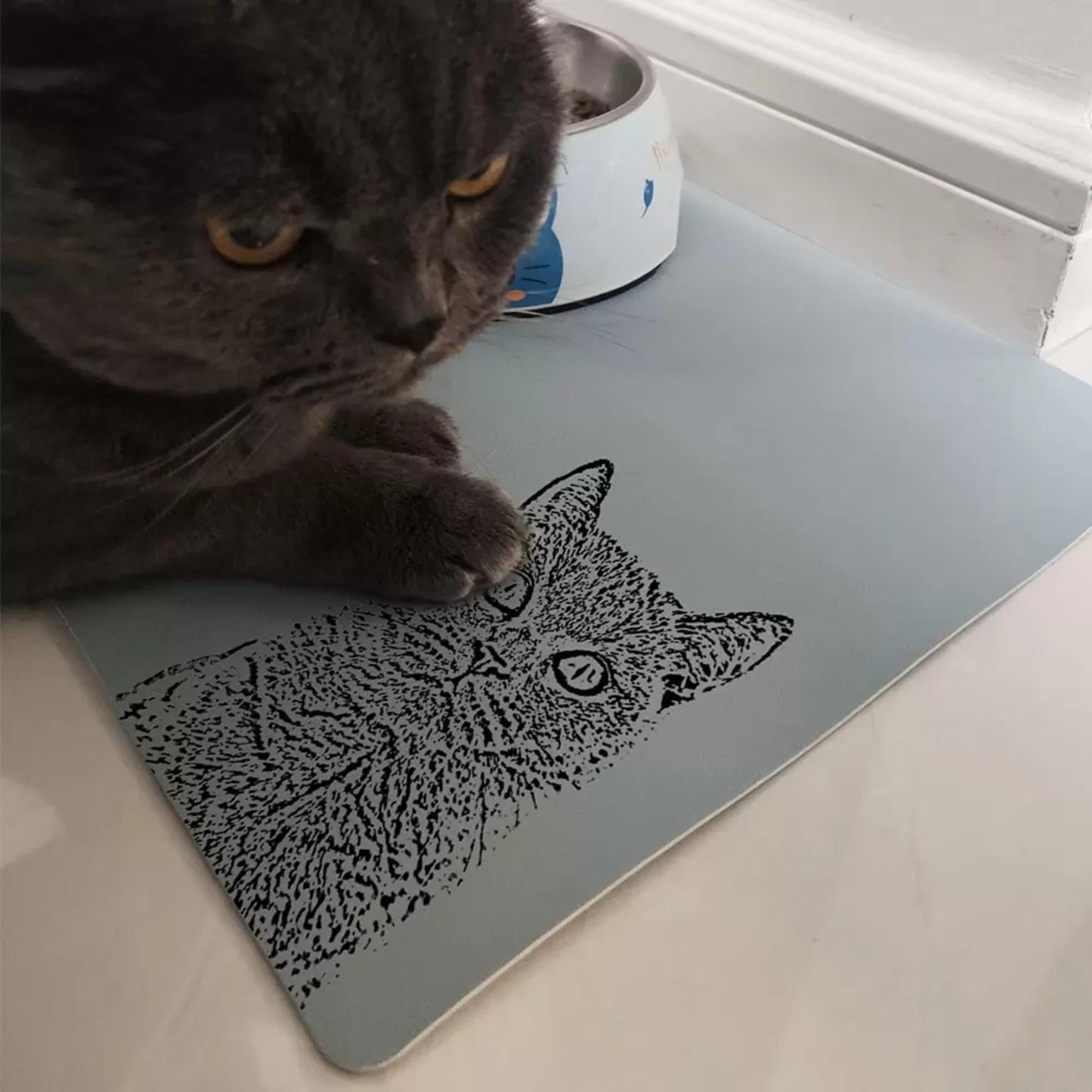 Custom Pet Portrait Food Mat with Name
