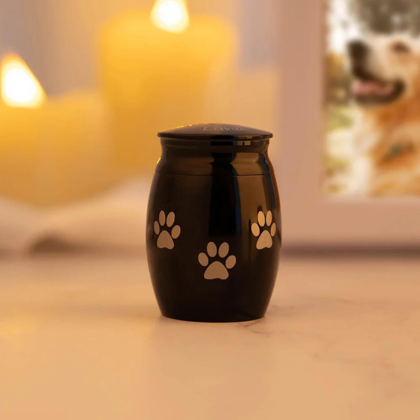 Custom Pet Portrait Mini Urn with Paw Prints