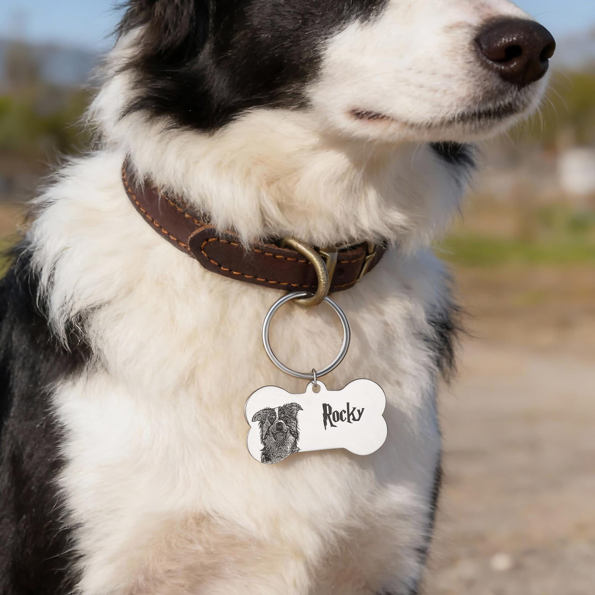 Personalized Dog Tag with Photo & Name
